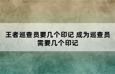 王者巡查员要几个印记 成为巡查员需要几个印记